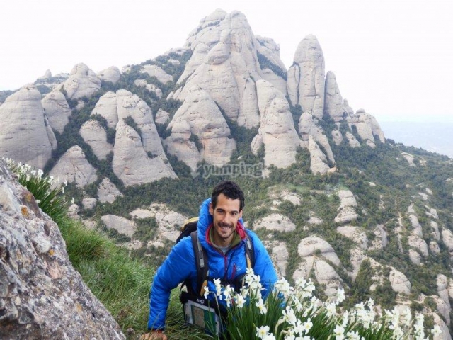 Entre las flores de la cima